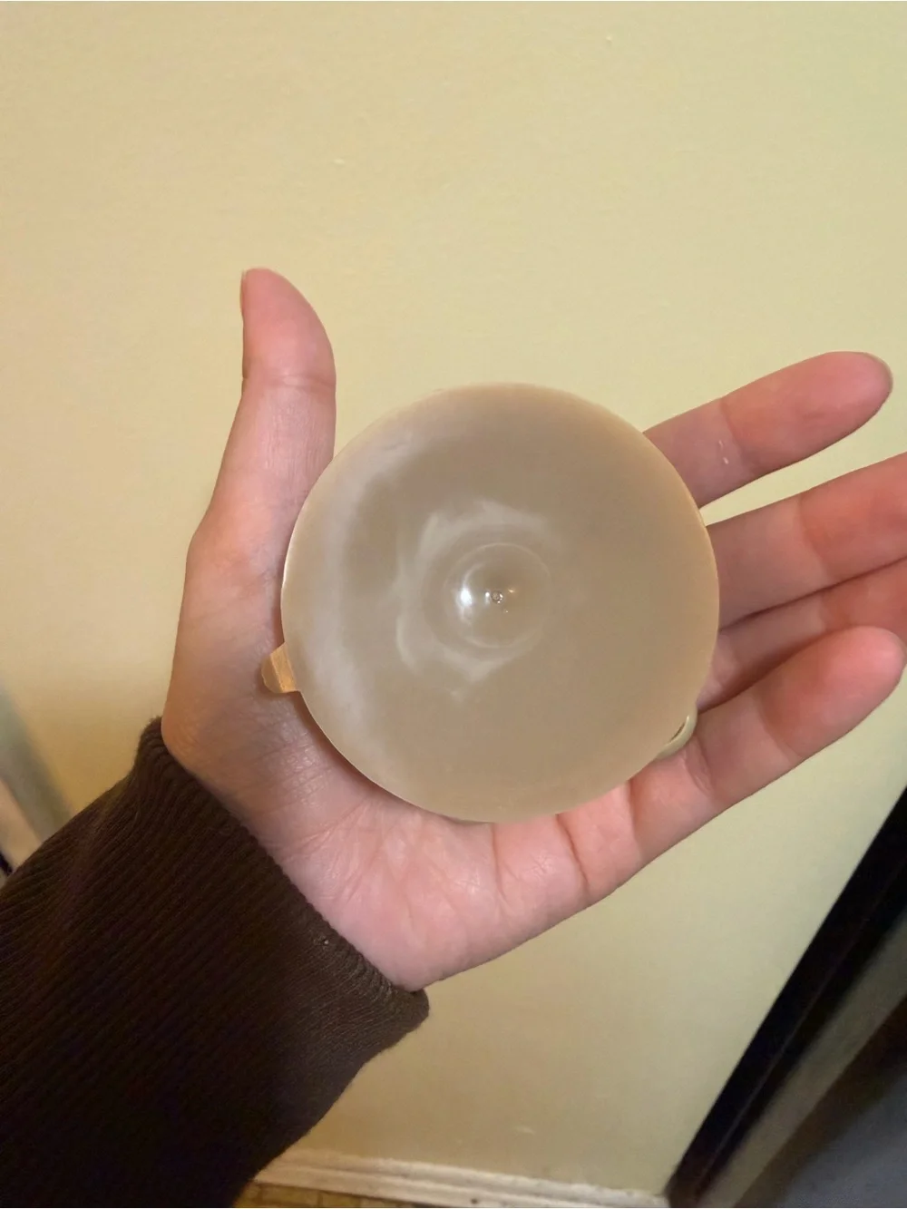 Tan suction cup slow feeder dog bowl accessory